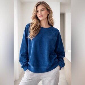 DKNY Sport Blue Velour Sweatshirt (Size L)